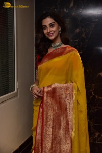 Indian Actress Meenakshi Chaudhary in a yellow saree