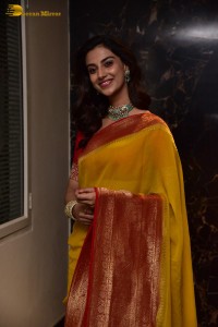 Indian Actress Meenakshi Chaudhary in a yellow saree