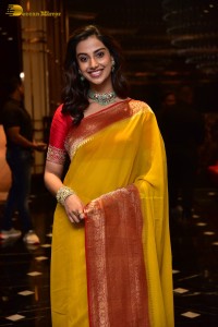 Indian Actress Meenakshi Chaudhary in a yellow saree