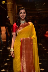 Indian Actress Meenakshi Chaudhary in a yellow saree