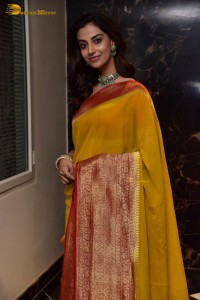 Indian Actress Meenakshi Chaudhary in a yellow saree