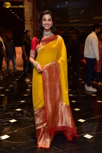 Indian Actress Meenakshi Chaudhary in a yellow saree
