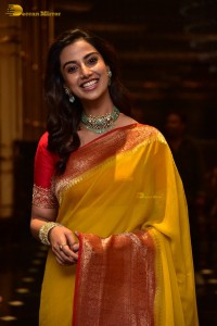 Meenakshi Chaudhary Picture Gallery 6