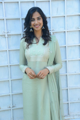 Meenakshi Chaudhary (13)