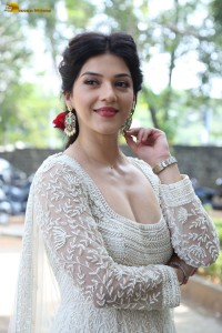 actress mehreen sexy looks in a low neck salwar