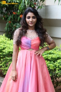 Indian Actress Mirnaa Menon in a pink dress