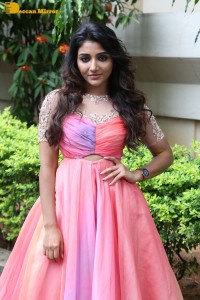 Indian Actress Mirnaa Menon in a pink dress