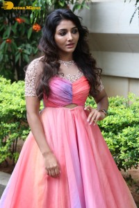 Indian Actress Mirnaa Menon in a pink dress