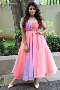 Indian Actress Mirnaa Menon in a pink dress
