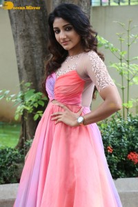 Indian Actress Mirnaa Menon in a pink dress