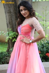 Indian Actress Mirnaa Menon in a pink dress