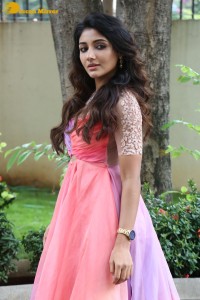 Indian Actress Mirnaa Menon in a pink dress