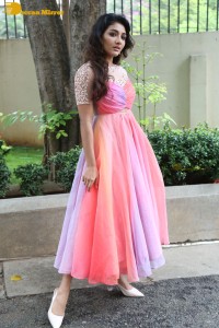 Indian Actress Mirnaa Menon in a pink dress