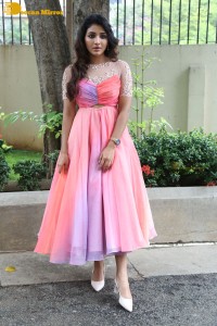 Indian Actress Mirnaa Menon in a pink dress
