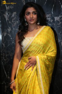 Actress Mirnaa in a yellow saree