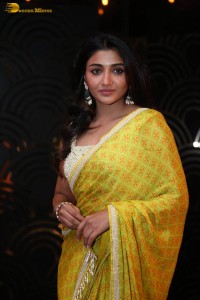 Actress Mirnaa in a yellow saree