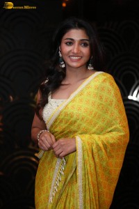 Actress Mirnaa in a yellow saree