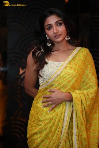 Actress Mirnaa in a yellow saree