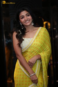 Actress Mirnaa in a yellow saree