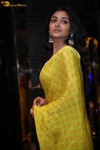 Actress Mirnaa in a yellow saree