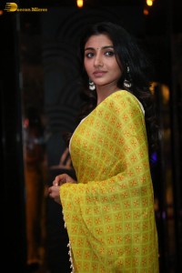 Actress Mirnaa in a yellow saree