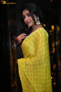 Actress Mirnaa in a yellow saree