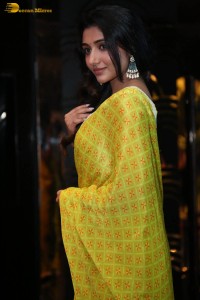 Actress Mirnaa in a yellow saree