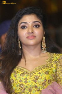 actress mirnaa looking cute while attending a movie function