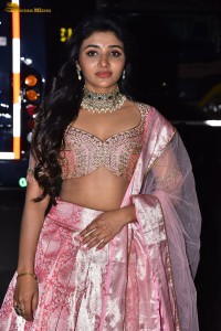 actress mirnaa menon in a pink lehenga choli dress