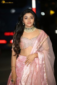actress mirnaa menon in a pink lehenga choli dress