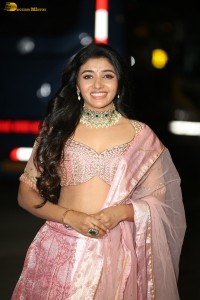 actress mirnaa menon in a pink lehenga choli dress