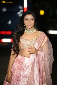actress mirnaa menon in a pink lehenga choli dress