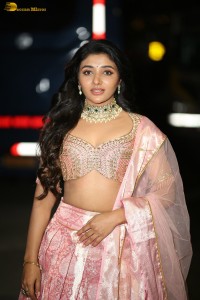 actress mirnaa menon in a pink lehenga choli dress