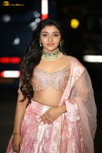 actress mirnaa menon in a pink lehenga choli dress