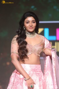actress mirnaa menon in a pink lehenga choli dress