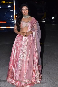 actress mirnaa menon in a pink lehenga choli dress