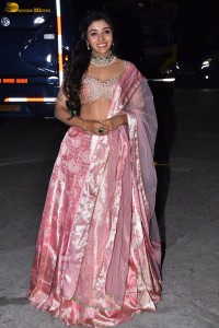 actress mirnaa menon in a pink lehenga choli dress