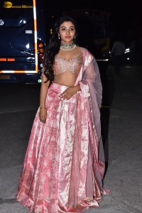 actress mirnaa menon in a pink lehenga choli dress