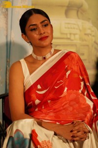 Mrunal Thakur attending a movie function dressed in a saree