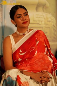 Mrunal Thakur attending a movie function dressed in a saree