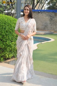 actress mrunal thakur beautiful in a saree