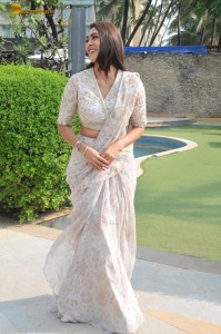 actress mrunal thakur beautiful in a saree