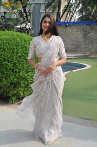 actress mrunal thakur beautiful in a saree