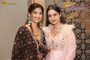 Mukhachitram Pre-Release Function attended by Ayesha Khan, Priya Vadlamani and Vikas Vasishta