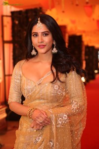 telugu actress nabha natesh gorgeous in a transparent saree