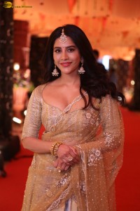 telugu actress nabha natesh gorgeous in a transparent saree