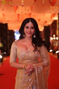 telugu actress nabha natesh gorgeous in a transparent saree