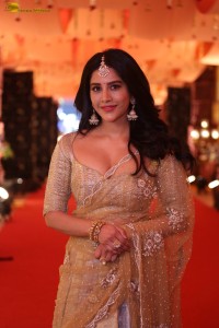 telugu actress nabha natesh gorgeous in a transparent saree