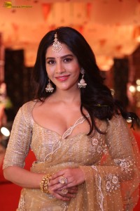 telugu actress nabha natesh gorgeous in a transparent saree