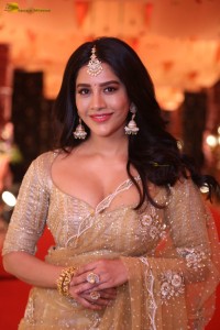 telugu actress nabha natesh gorgeous in a transparent saree